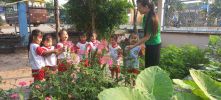 Cung Quan Sat Hoa Nhe
