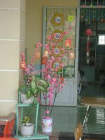 Dsc09950 500