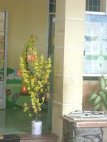 Dsc09952 500
